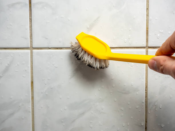 Best Attic Mold Removal  in Hailey, ID