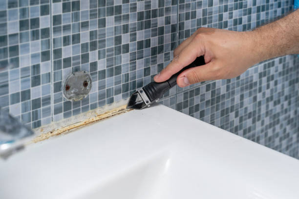 Best Affordable Mold Removal  in Hailey, ID