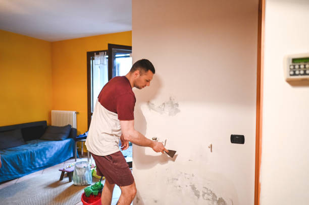 Best Commercial Mold Removal  in Hailey, ID